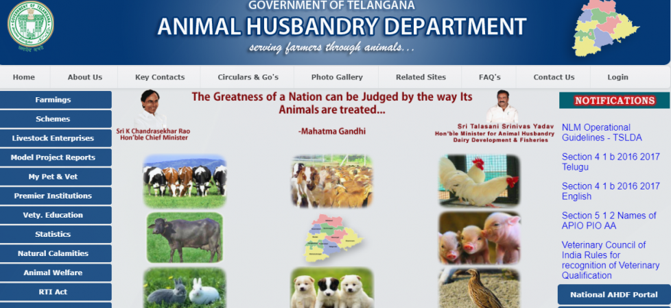 Comprehensive Policy on Transforming Animal Husbandry and Fisheries Sectors  in Telangana - Centre for Good Governance