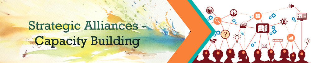 capacity-building